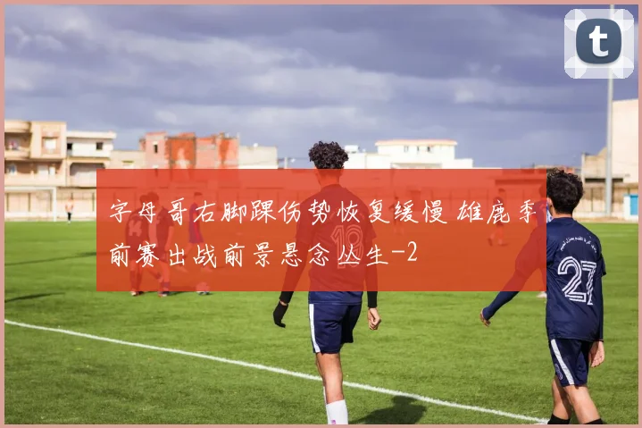 字母哥右脚踝伤势恢复缓慢 雄鹿季前赛出战前景悬念丛生