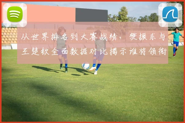 从世界排名到大赛战绩，樊振东与王楚钦全面数据对比揭示谁将领衔男乒